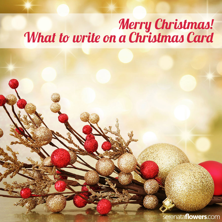 Christmas Card Messages  PollenNation
