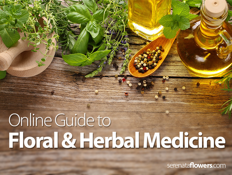 floral-and-herbal-medicine