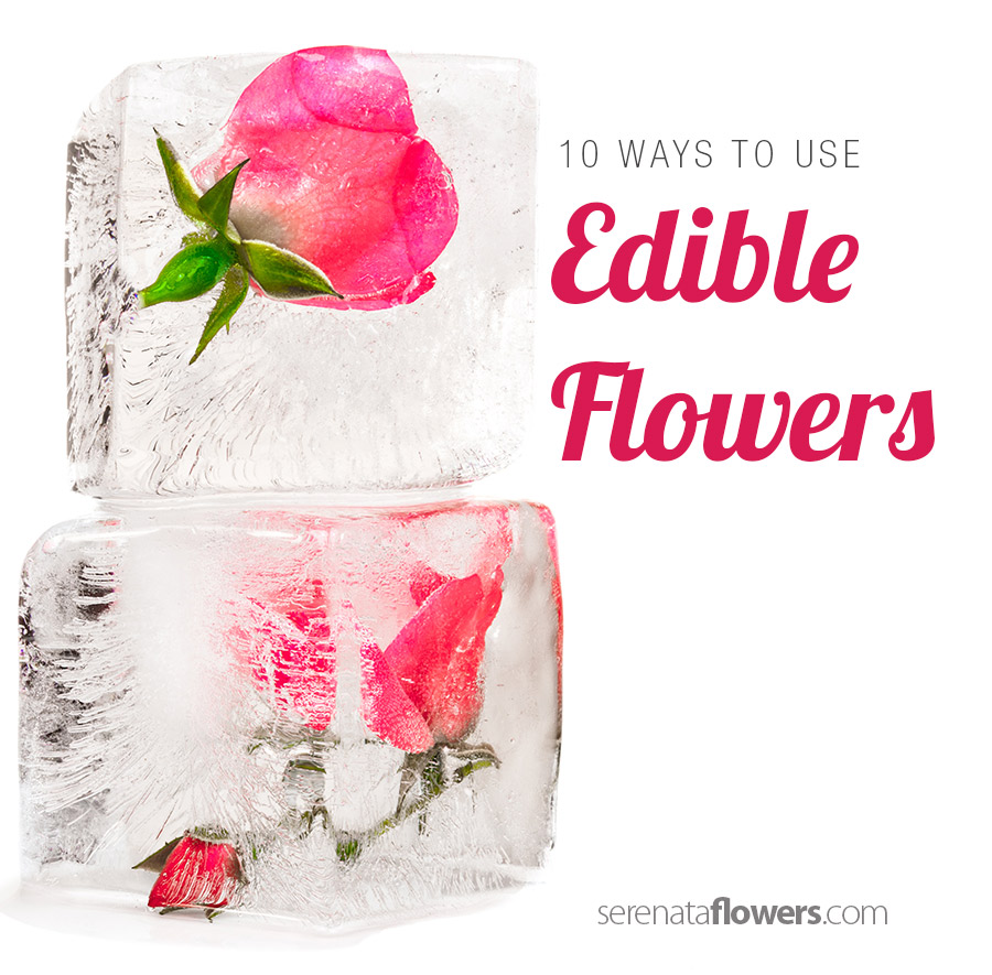 10-ways-to-use-edible-flowers