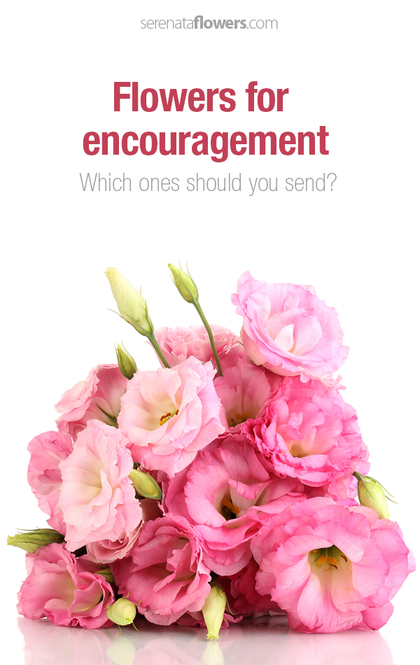 Flowers-for-encouragement