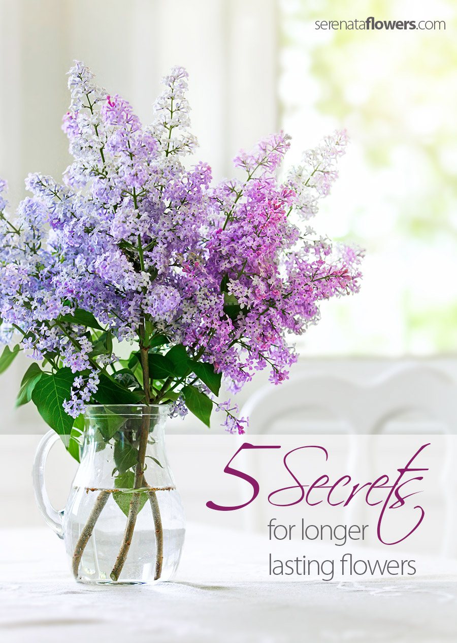 secrets-for-longer-lasting-flowers