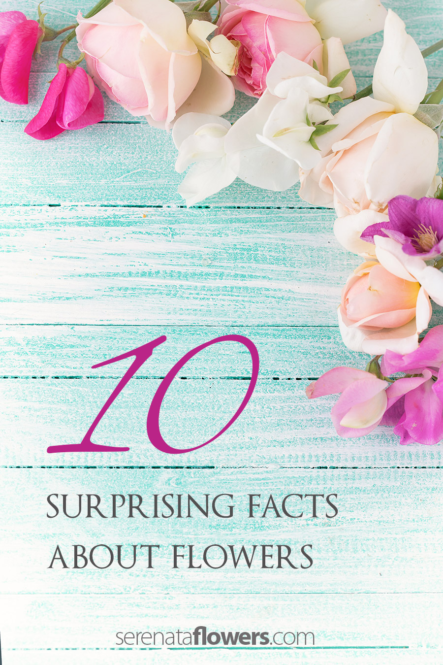surprising-facts-about-flowers