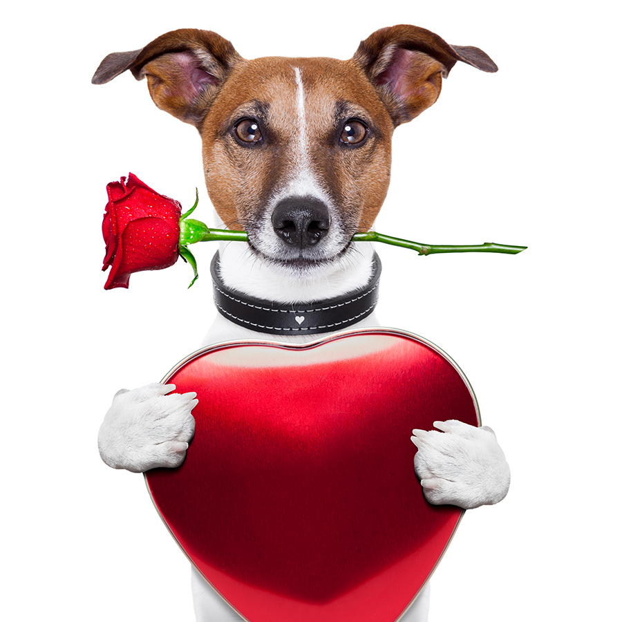 Boyfriend to valentine messages your Happy Valentine’s