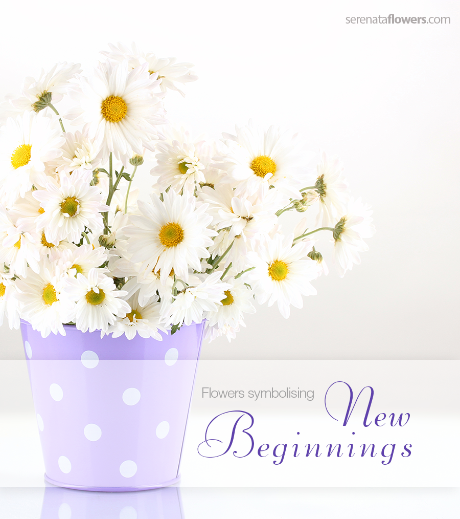 Flowers Symbolising New Beginnings