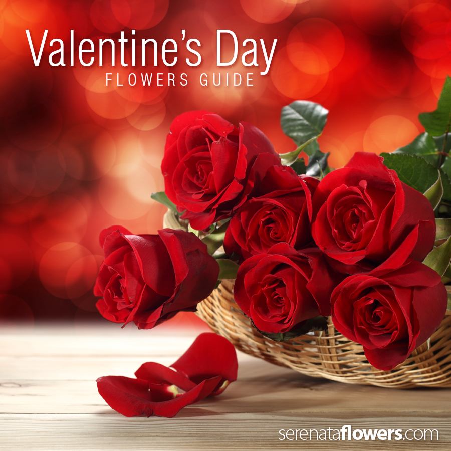 valentines day flower specials