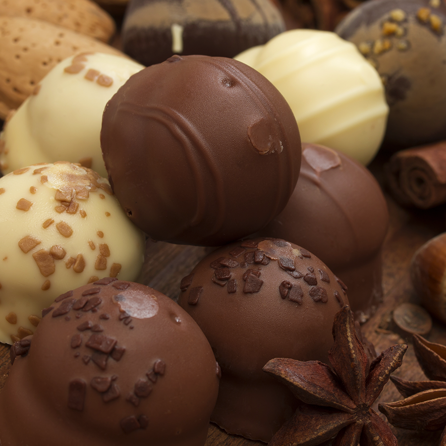 chocolate production business plan pdf