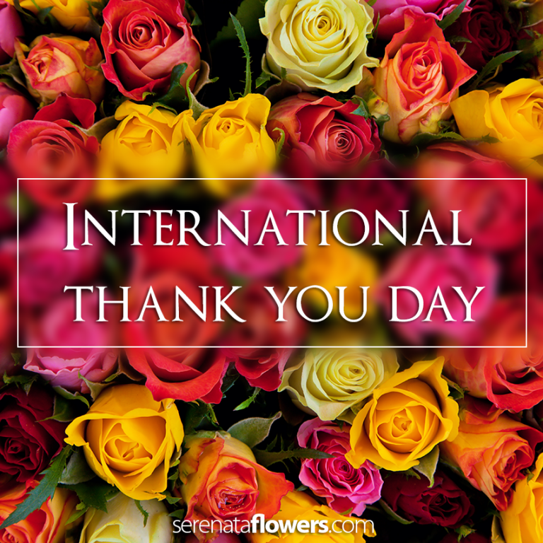 Celebrate International Thank You Day with Quote