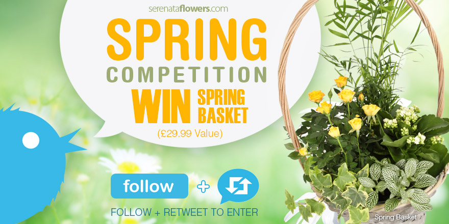 spring-competition-twitter