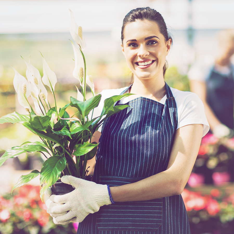 design of the times florist