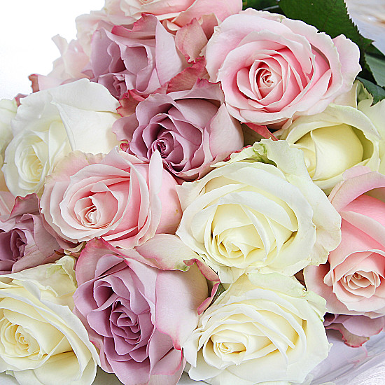 Luxury pastel roses valentines day