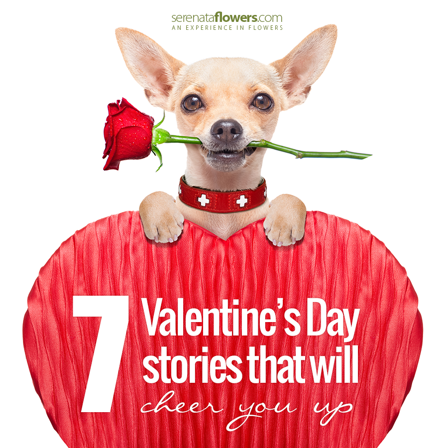 valentines day stories that will cheer you up