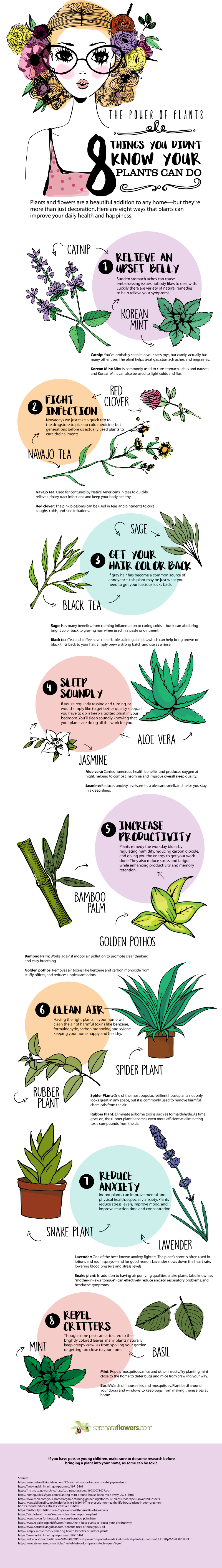 https://blog.serenataflowers.com/pollennation/wp-content/uploads/2017/02/8-things-you-didnt-know-your-plants-can-do_infographic.jpg