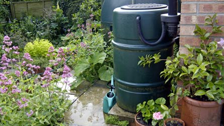 save water garden