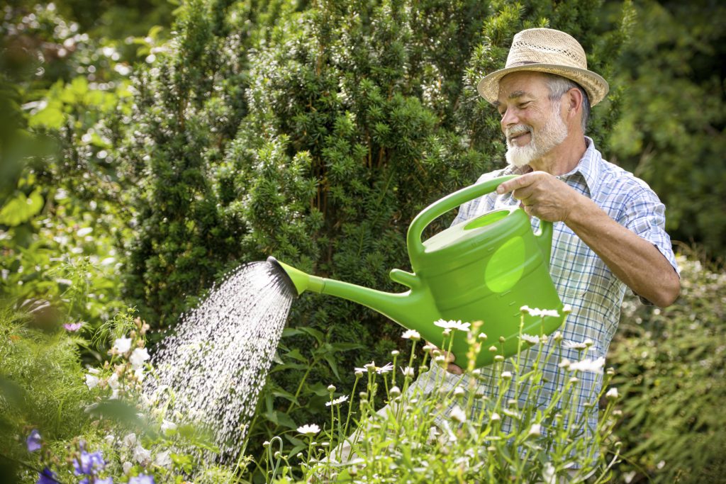 save water garden