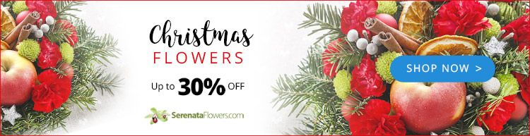 Christmas Discount Serenata Flowers