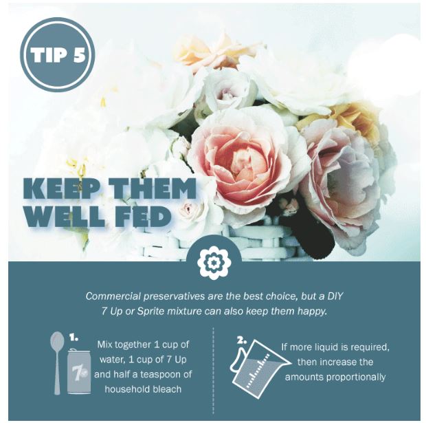 Keep Flowers Well Fed - Tip 5