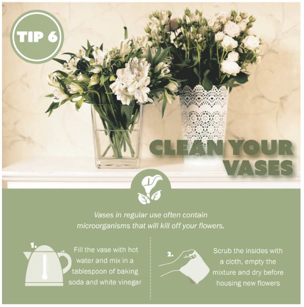Clean Your Vases