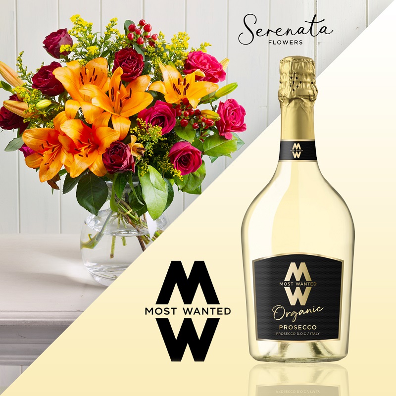 most-Most Wanted vs Serenata Flowers Competition-serenata-flowers-competition