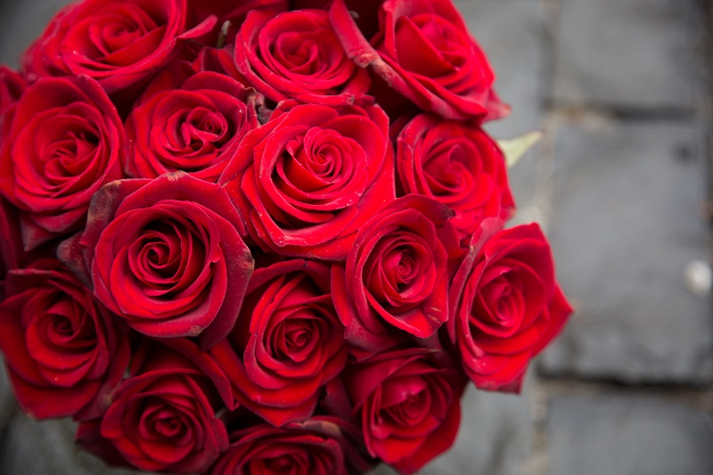 Keeping the Romance Alive: Top Picks for Valentine’s Day Flowers