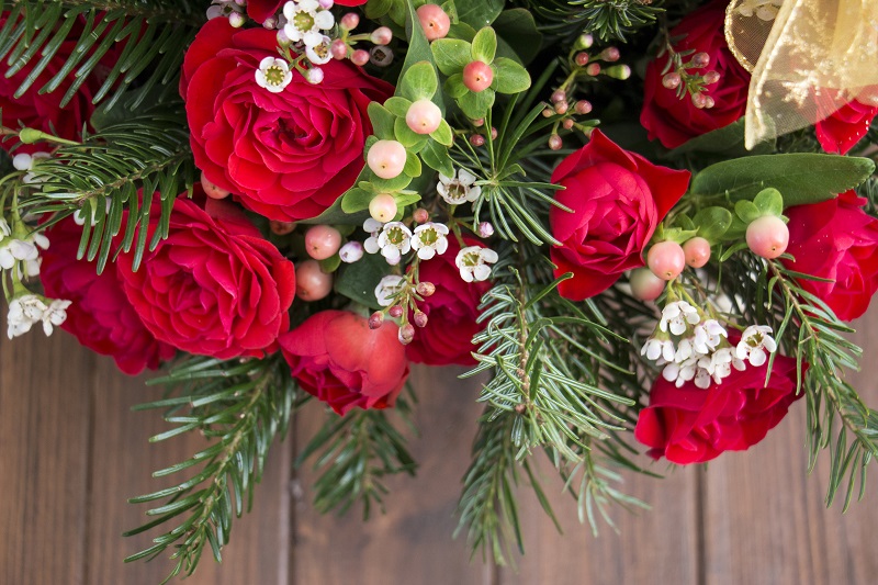 Top Christmas Flowers and Plants to Gift this Year